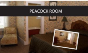 PEACOCK ROOM image