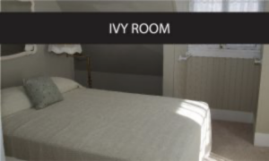 Ivy Room Image