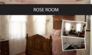 ROSE ROOM image
