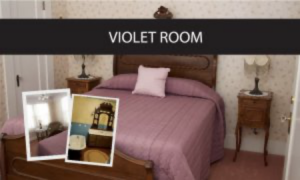 VIOLET ROOM image