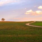 A winding dirt path curves through open green fields toward a lone tree on the horizon, beneath a soft pastel sky at sunset, evoking a quiet sense of journey and possibility.